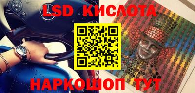 прущие грибы Жуковский