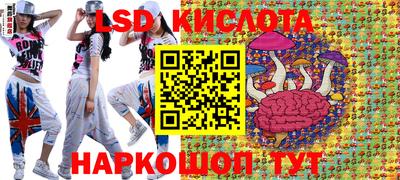 прущие грибы Жуковский