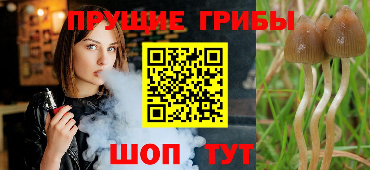 Псилоцибиновые грибы ЛСД  Вход с VPN  Канск 
