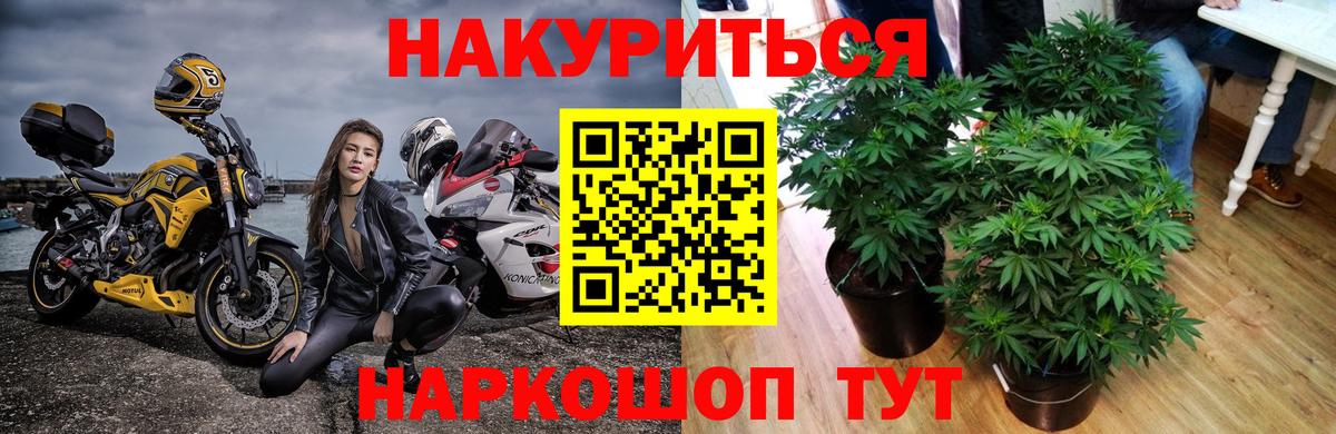 МАРИХУАНА AK-47  Канабис план  Канск  Шишки марихуана план  Конопля White Widow  Вход с VPN 